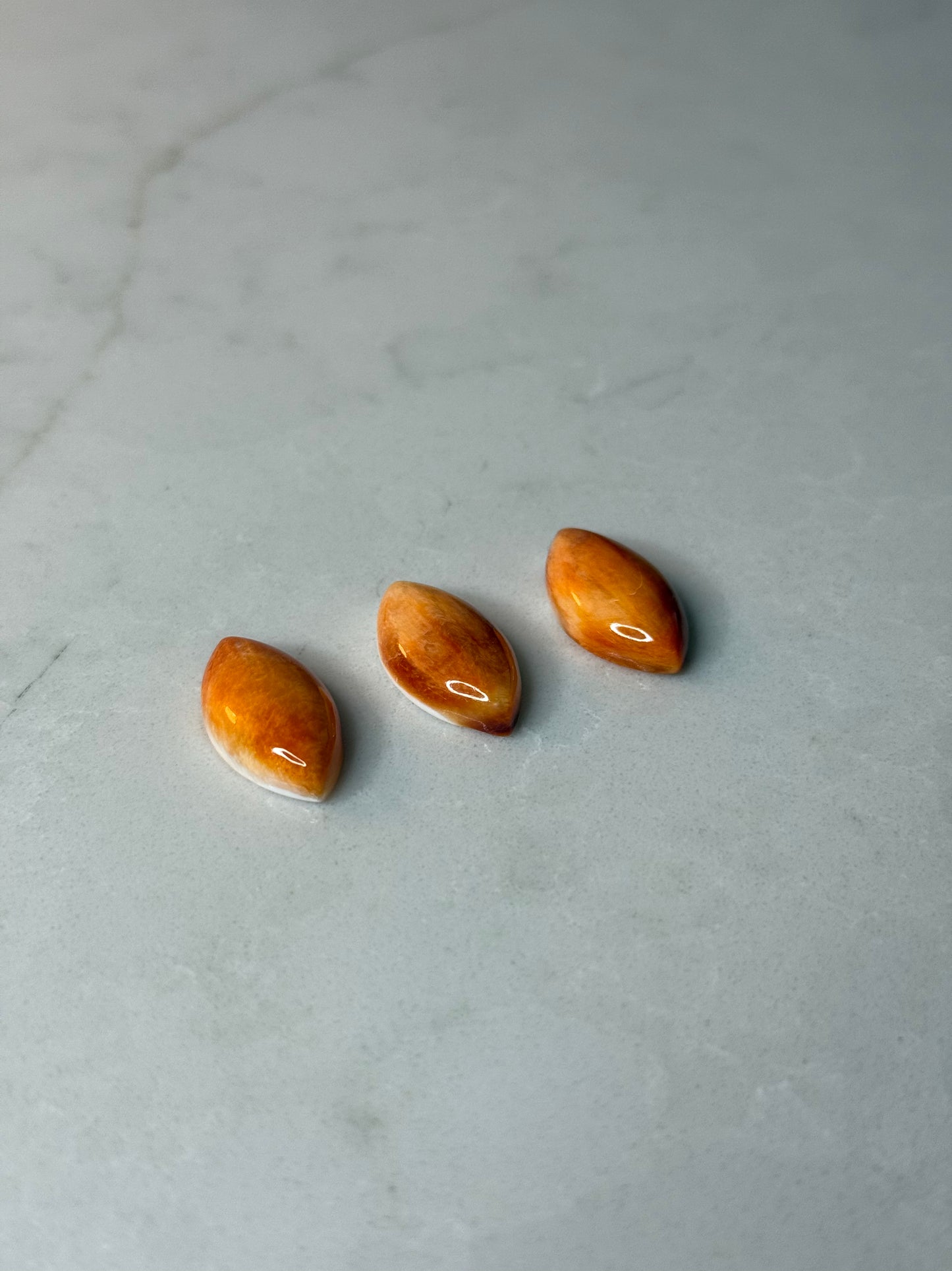 12x24mm Surfboard Spiny Oyster, Set of 2