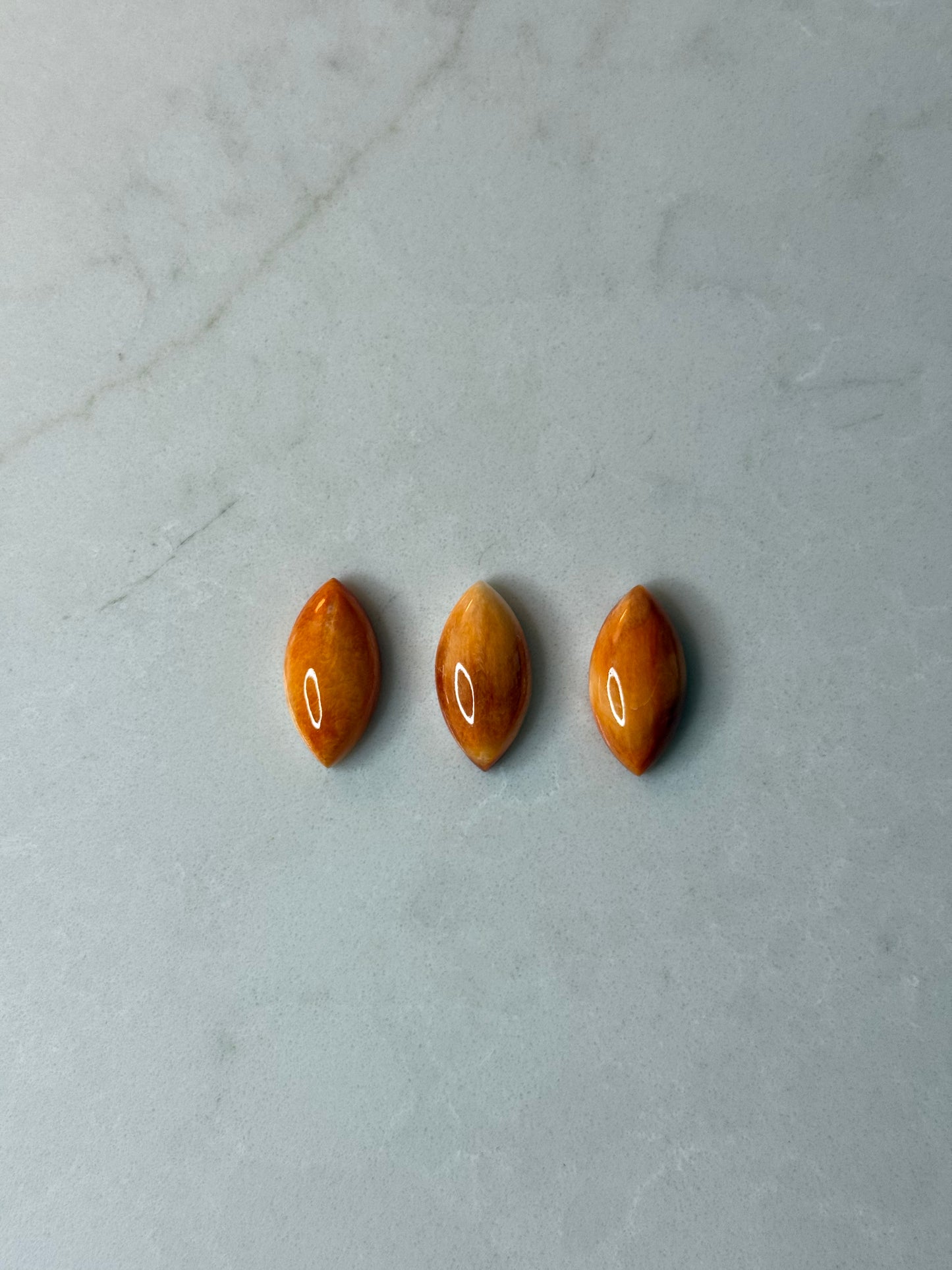 12x24mm Surfboard Spiny Oyster, Set of 2